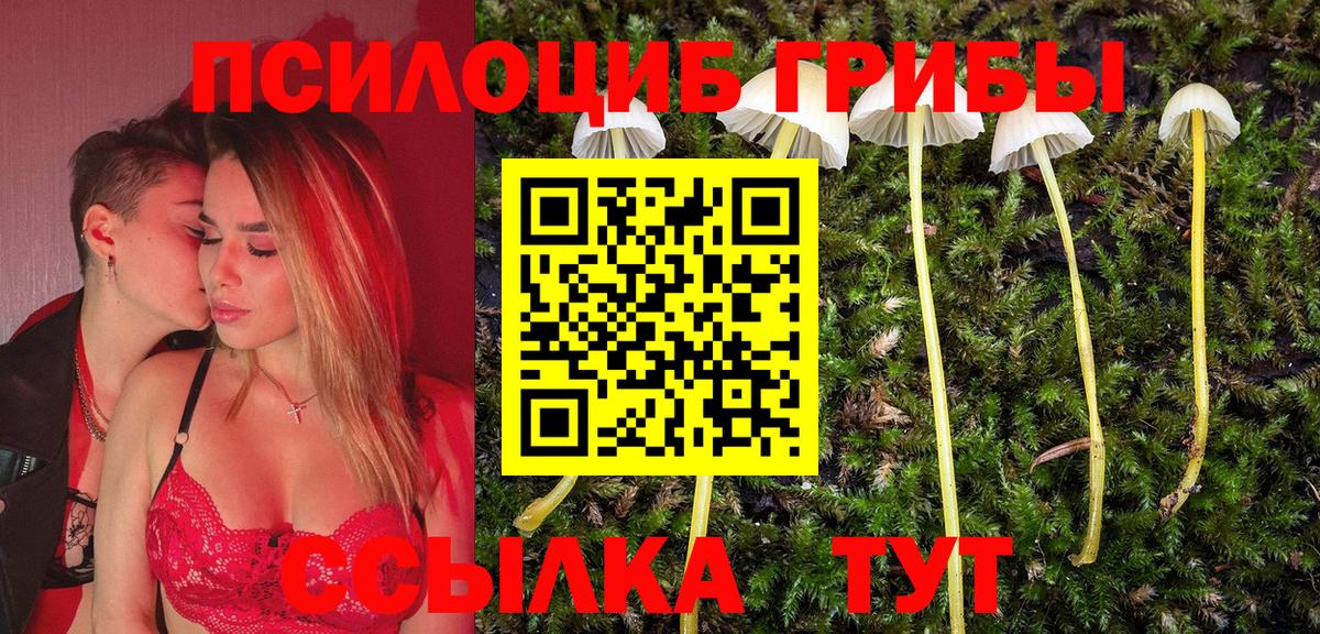 Воркута  наркошоп  Вход с VPN  Псилоцибиновые грибы мицелий 