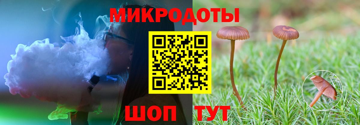 Галлюциногенные грибы Cubensis Воркута